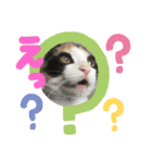 華ちゃんスタンプ①（個別スタンプ：4）