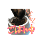 華ちゃんスタンプ①（個別スタンプ：11）