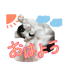 華ちゃんスタンプ①（個別スタンプ：14）
