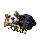 茶々婆ちゃん＆UGO-4  家族の伝言（個別スタンプ：23）