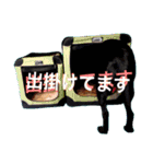 茶々婆ちゃん＆UGO-4  家族の伝言（個別スタンプ：24）