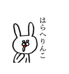 ねことうさぎ(K)（個別スタンプ：17）