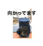 麦にゃん3（個別スタンプ：5）