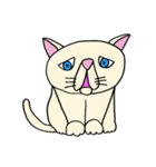 困り顔のブサカワ猫スタンプ（個別スタンプ：1）