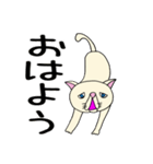困り顔のブサカワ猫スタンプ（個別スタンプ：3）