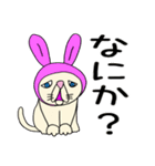 困り顔のブサカワ猫スタンプ（個別スタンプ：9）