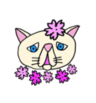 困り顔のブサカワ猫スタンプ（個別スタンプ：13）