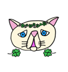 困り顔のブサカワ猫スタンプ（個別スタンプ：16）