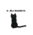 ねっこ⑤（個別スタンプ：3）