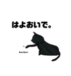 ねっこ⑤（個別スタンプ：6）