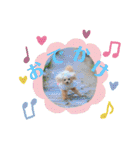 ♡♡あんのんじぇちゃん♡♡（個別スタンプ：2）
