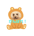 ♡♡あんのんじぇちゃん♡♡（個別スタンプ：3）