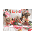 ♡♡あんのんじぇちゃん♡♡（個別スタンプ：5）