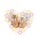 ♡♡あんのんじぇちゃん♡♡（個別スタンプ：7）