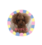 ♡♡あんのんじぇちゃん♡♡（個別スタンプ：9）
