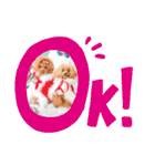 ♡♡あんのんじぇちゃん♡♡（個別スタンプ：12）