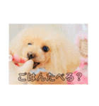 ♡♡あんのんじぇちゃん♡♡（個別スタンプ：14）