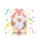 ♡♡あんのんじぇちゃん♡♡（個別スタンプ：22）