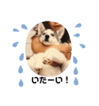 ♡♡あんのんじぇちゃん♡♡（個別スタンプ：29）