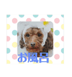 ♡♡あんのんじぇちゃん♡♡（個別スタンプ：30）