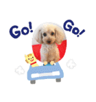 ♡♡あんのんじぇちゃん♡♡（個別スタンプ：35）