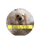 ♡♡あんのんじぇちゃん♡♡（個別スタンプ：37）