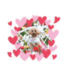 ♡♡あんのんじぇちゃん♡♡（個別スタンプ：40）