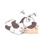 パンダのしっぺい。（個別スタンプ：5）