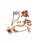 ねことさくらんぼ（個別スタンプ：29）