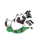 ボドゲ×たぬき×日常（個別スタンプ：11）