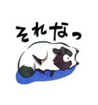ボドゲ×たぬき×日常（個別スタンプ：28）