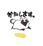 ボドゲ×たぬき×日常（個別スタンプ：31）
