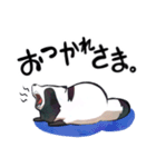 ボドゲ×たぬき×日常（個別スタンプ：40）