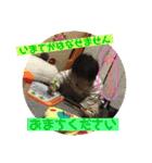 りとちゃんスタンプ（個別スタンプ：6）