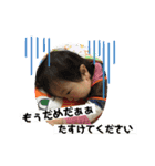 りとちゃんスタンプ（個別スタンプ：8）