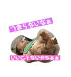 りとちゃんスタンプ（個別スタンプ：12）