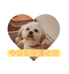 めご（個別スタンプ：8）