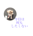 めご（個別スタンプ：13）