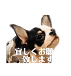 Milkのゆる〜くスタンプ（個別スタンプ：7）