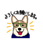 使いやすい！コーギースタンプ（個別スタンプ：2）