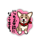 使いやすい！コーギースタンプ（個別スタンプ：3）