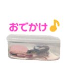 Mina♡Licit (ヒョウモントカゲモドキ)（個別スタンプ：25）