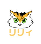 孤高の4ねこ（個別スタンプ：1）