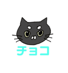 孤高の4ねこ（個別スタンプ：2）