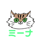 孤高の4ねこ（個別スタンプ：4）