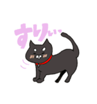 孤高の4ねこ（個別スタンプ：6）