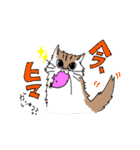 孤高の4ねこ（個別スタンプ：8）