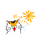 孤高の4ねこ（個別スタンプ：9）