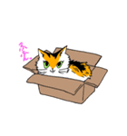 孤高の4ねこ（個別スタンプ：13）