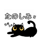 使える！黒猫〔くろねこ〕にーにゃん。（個別スタンプ：30）
